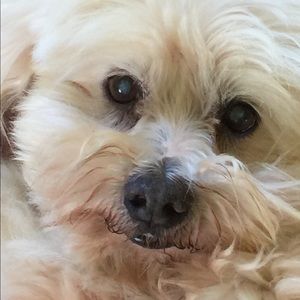 Meet your Posher, Jackie